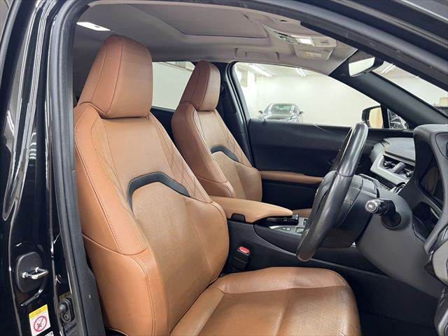 Lexus UX 8