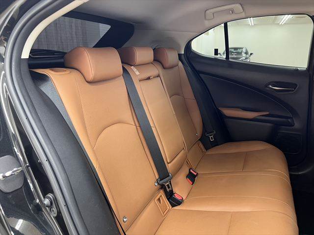 Lexus UX 9