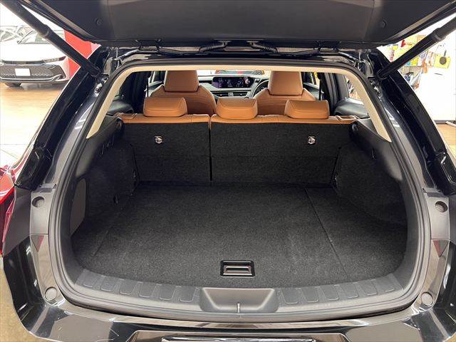 Lexus UX 10