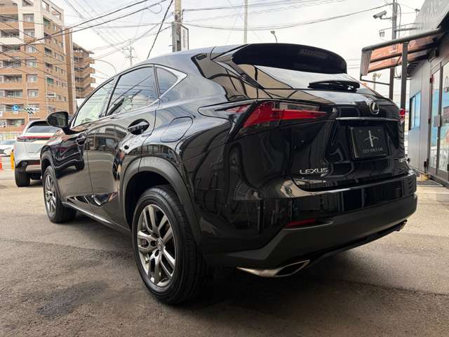 Lexus NX 11