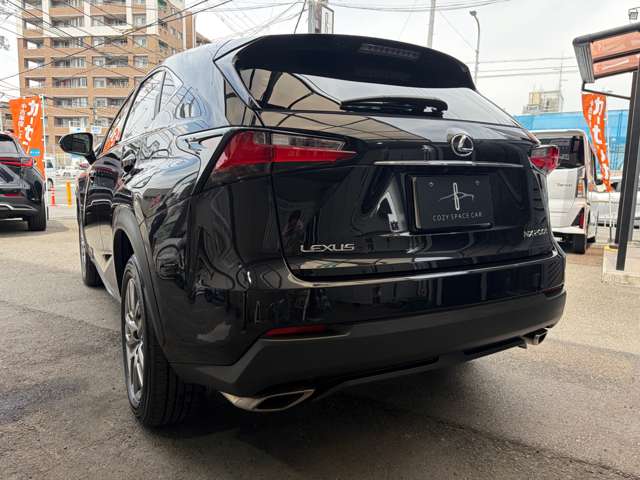 Lexus NX 12