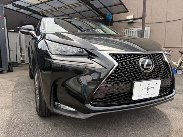 Lexus NX 6