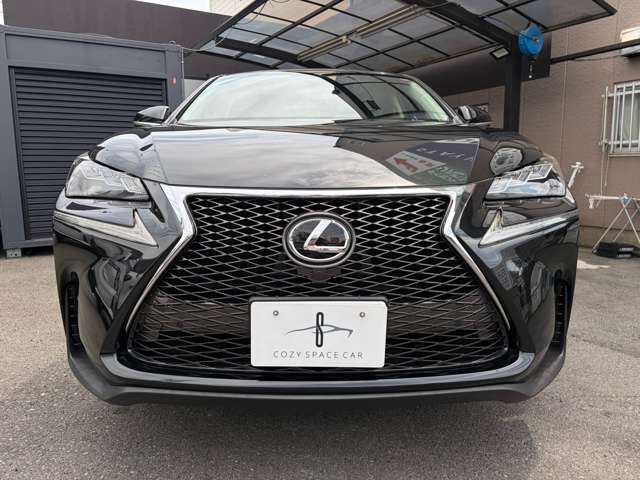 Lexus NX 7