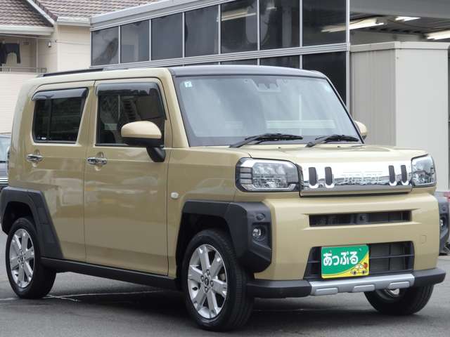 Daihatsu Taft 8