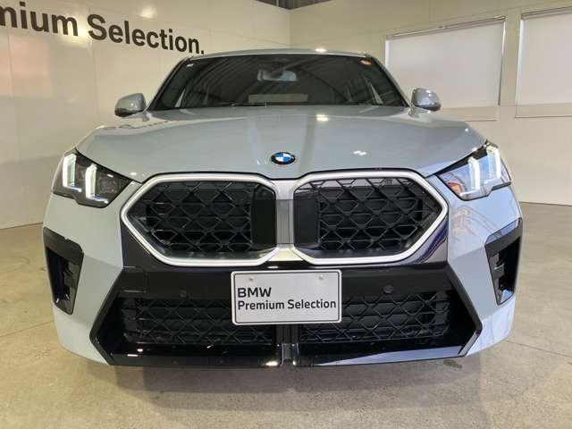 BMW X2 11