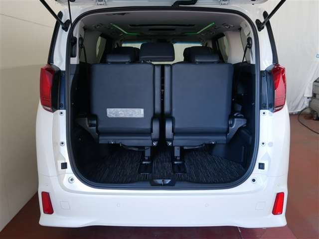 Toyota Alphard 9