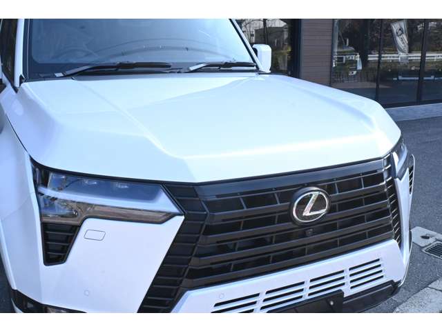 Lexus GX 12