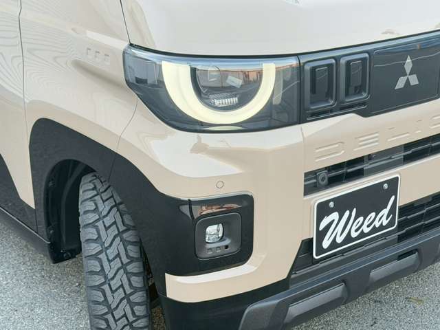Mitsubishi Delica Mini 11