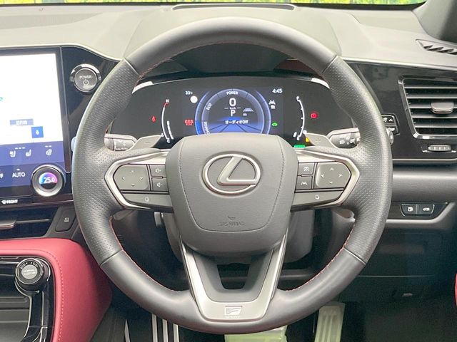 Lexus NX 11