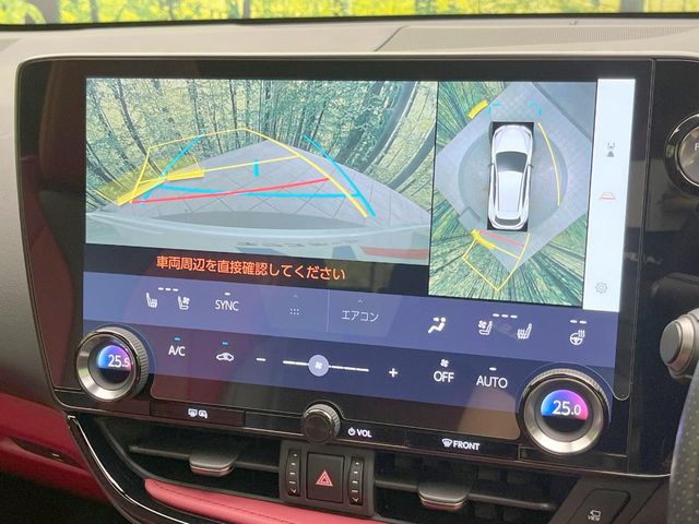 Lexus NX 6