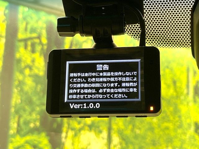 Toyota Land Cruiser Prado 6
