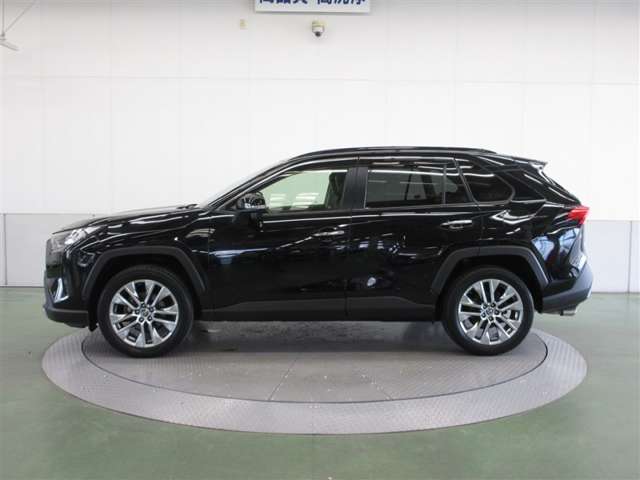Toyota RAV4 8
