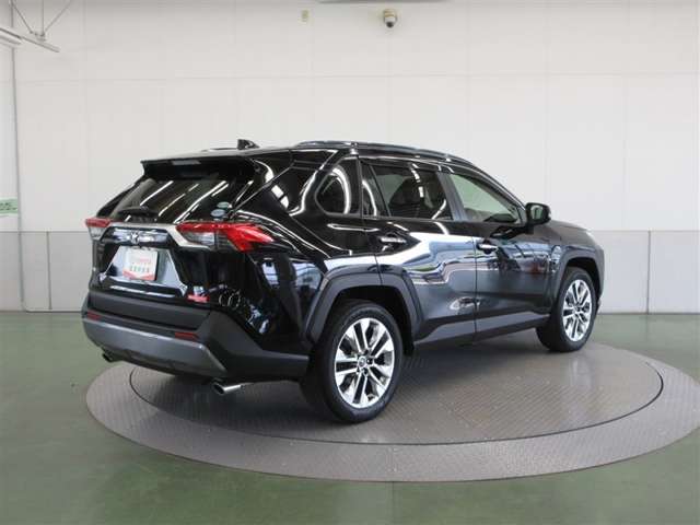 Toyota RAV4 10