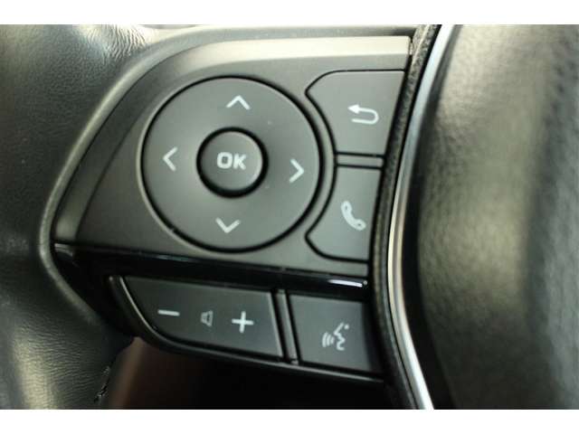 Toyota Harrier 12