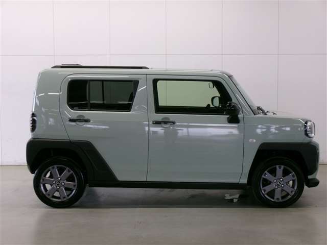 Daihatsu Taft 6