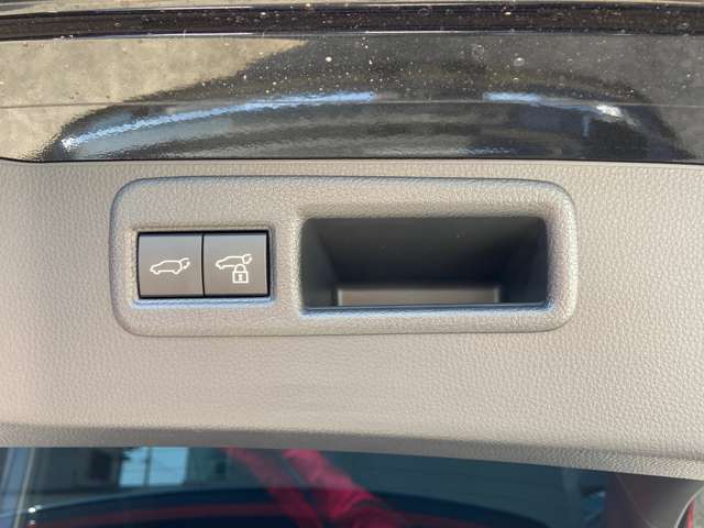 Toyota Harrier 9