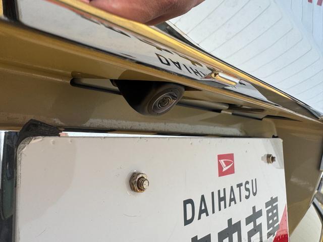 Daihatsu Taft 12