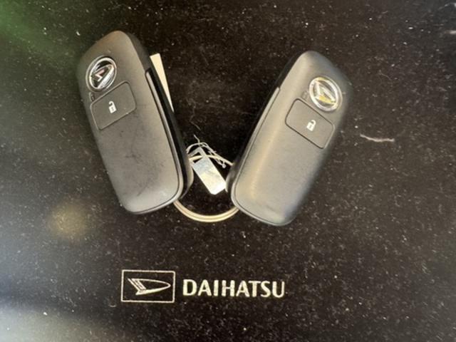 Daihatsu Taft 8