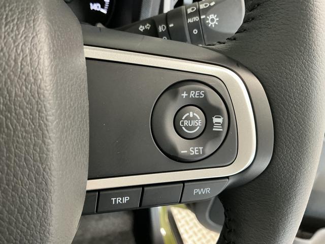 Daihatsu Taft 6