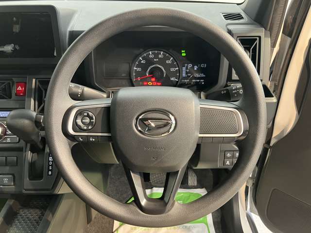 Daihatsu Taft 11