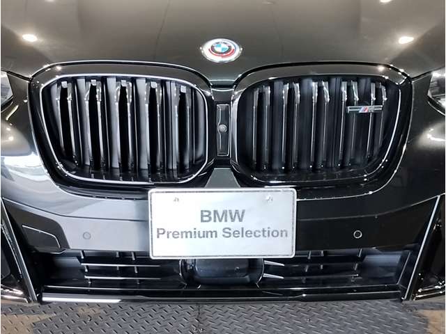 BMW X3 12