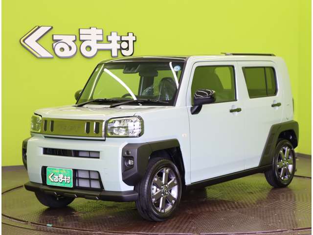 Daihatsu Taft 11