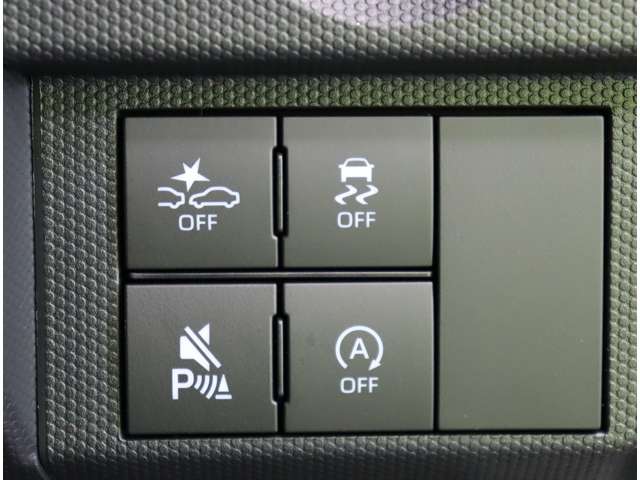 Daihatsu Taft 6