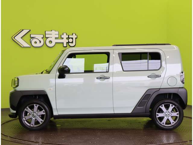 Daihatsu Taft 10