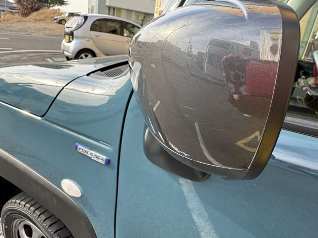 Suzuki Hustler 11