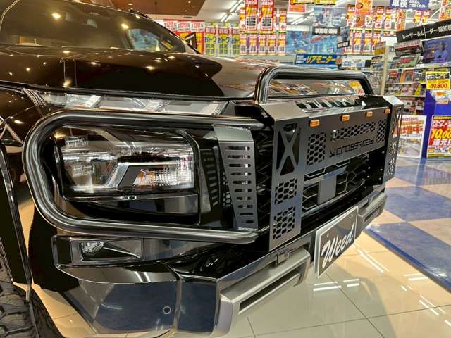 Mitsubishi Triton 6