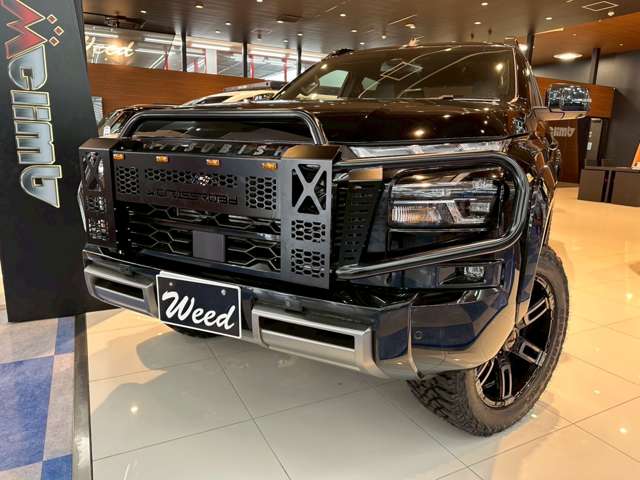 Mitsubishi Triton 7