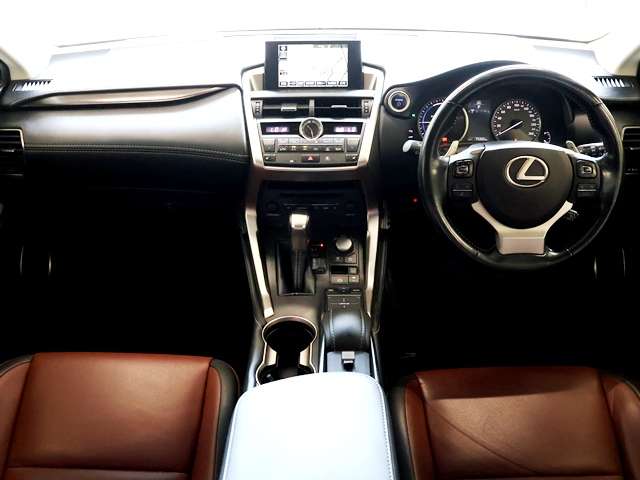 Lexus NX 12