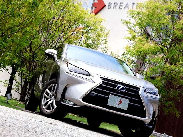 Lexus NX 5