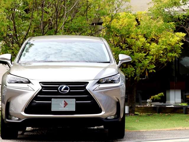 Lexus NX 6