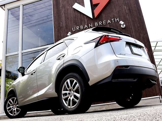 Lexus NX 8