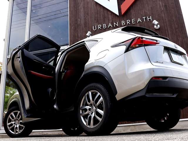 Lexus NX 9