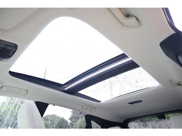Lexus RX 9