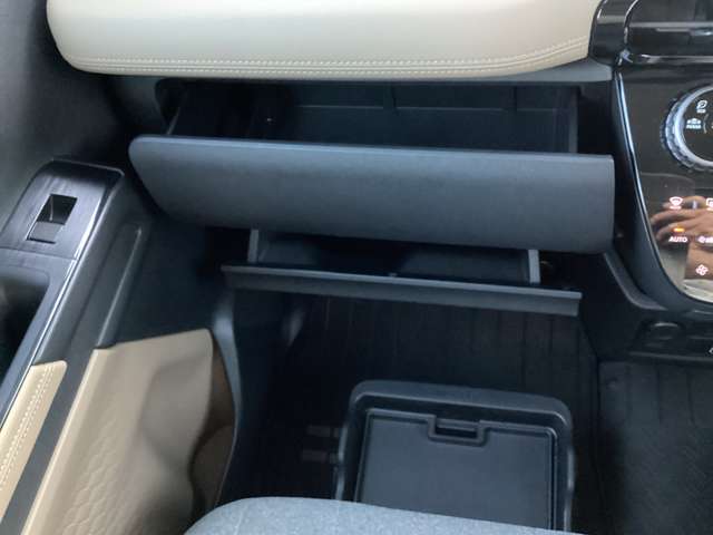 Mitsubishi Delica Mini 11