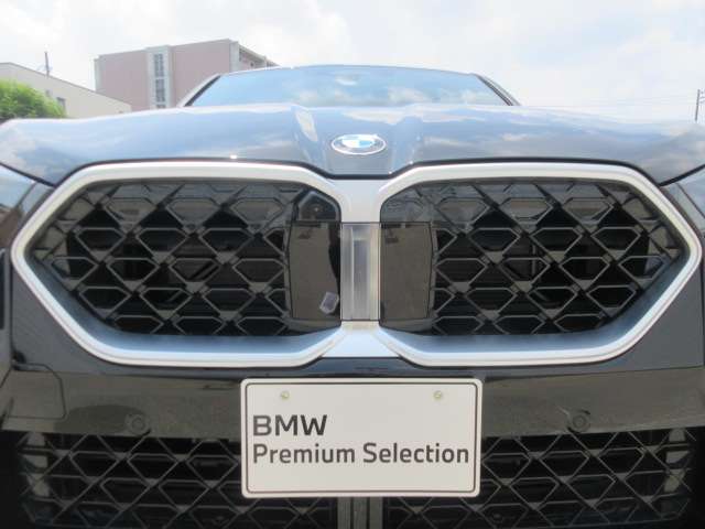 BMW X2 10