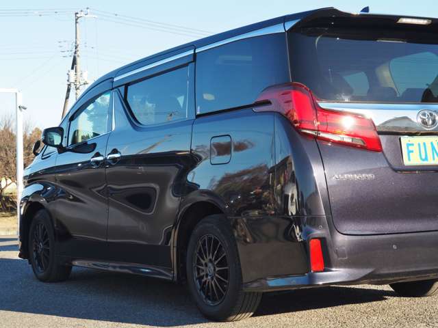 Toyota Alphard 11