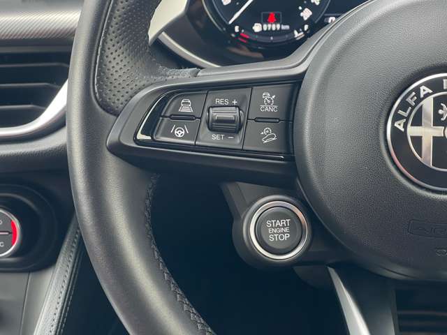 Alfa Romeo Stelvio 7