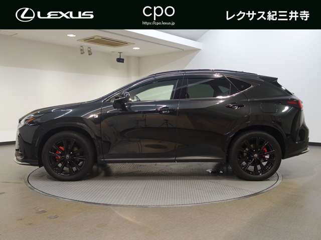 Lexus NX 3