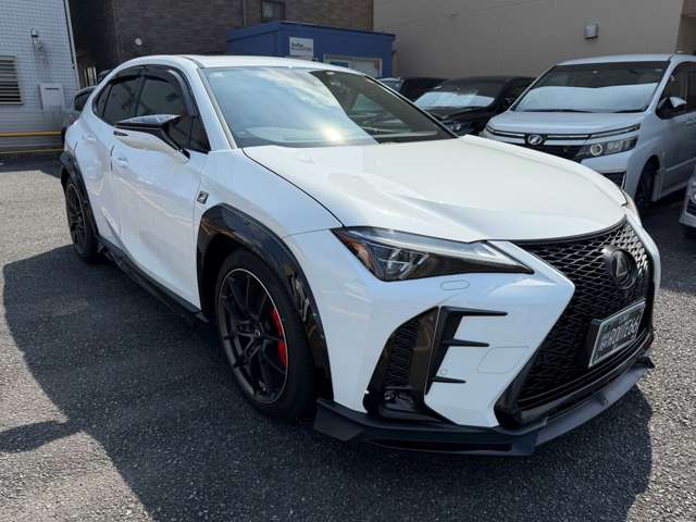 Lexus UX 11
