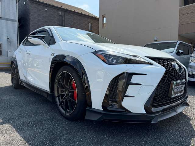 Lexus UX 12