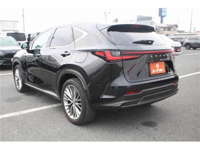 Lexus NX 11