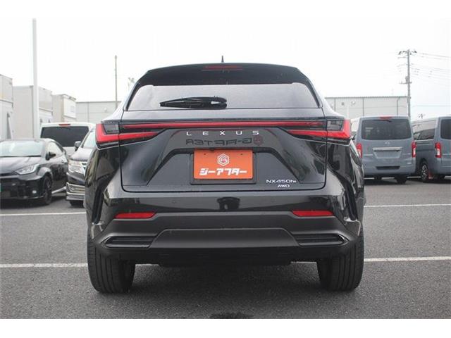 Lexus NX 12