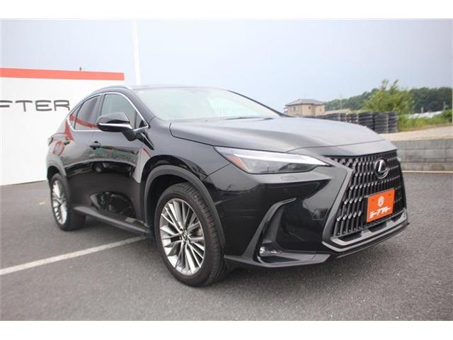 Lexus NX 7