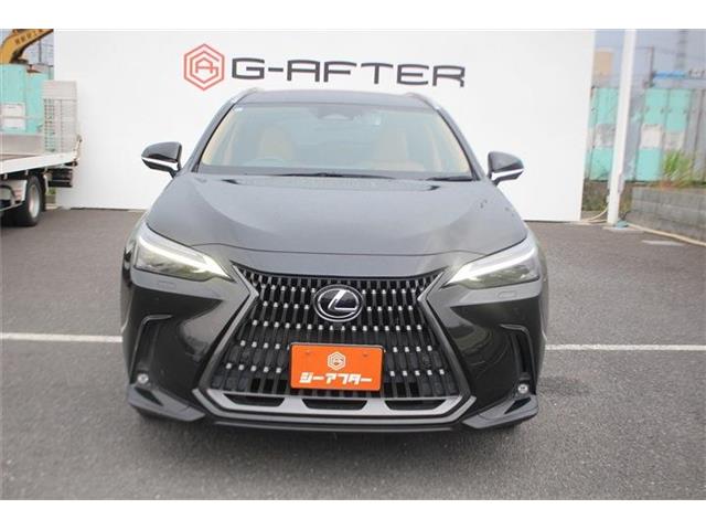 Lexus NX 8