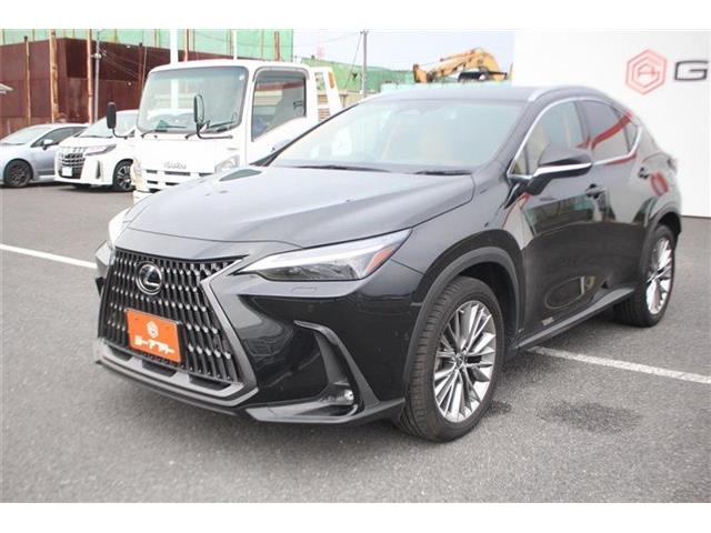 Lexus NX 9