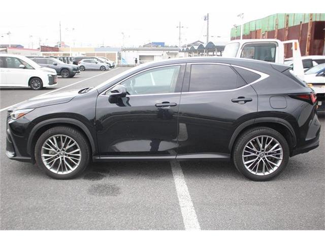 Lexus NX 10